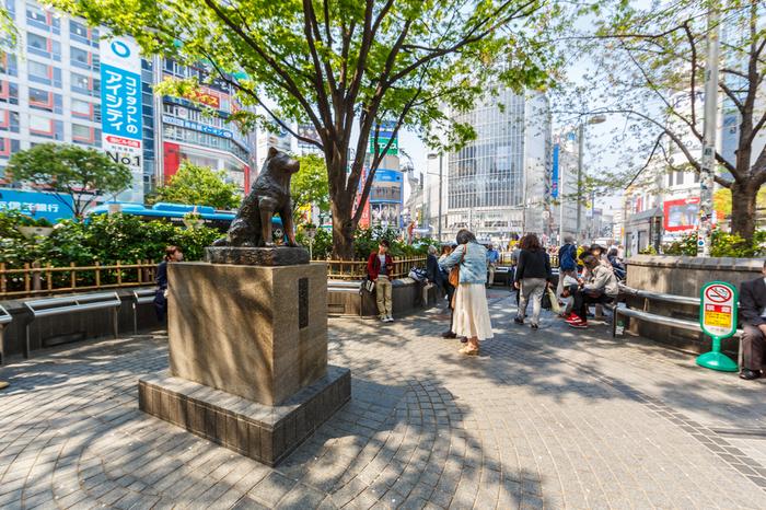 Pomnik Hachiko w Tokio