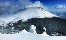 Japonia - królowa śniegu