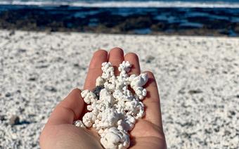 Popcornowa plaża