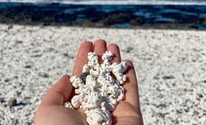 Popcornowa plaża