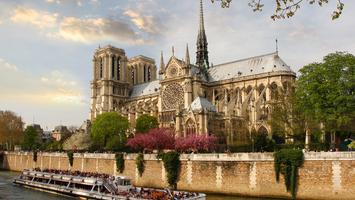 Katedra Notre Dame przed pożarem - jak wyglądał symbol Francji? [ZDJĘCIA]