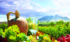 W macedońskim regionie winiarskim Tikves wino produkowane jest od IV wieku p.n.e. 
