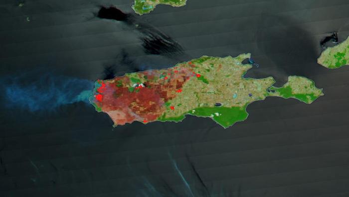 Wyspa Kangura w ogniu