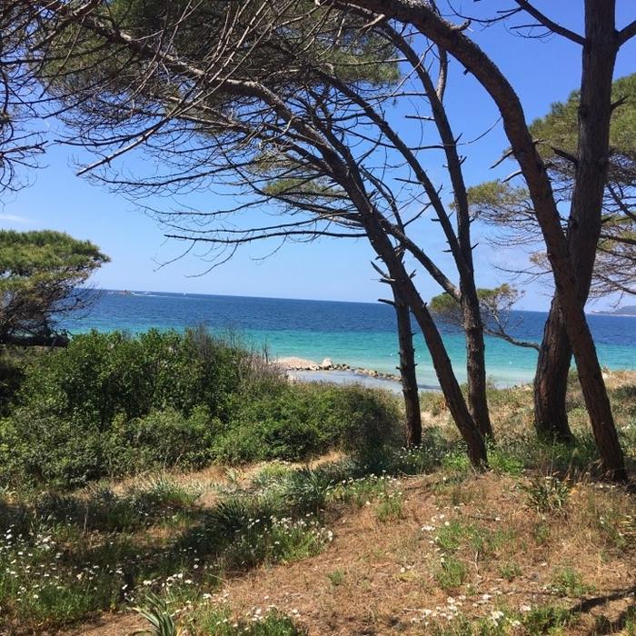Sardynia, plaża w Alghero