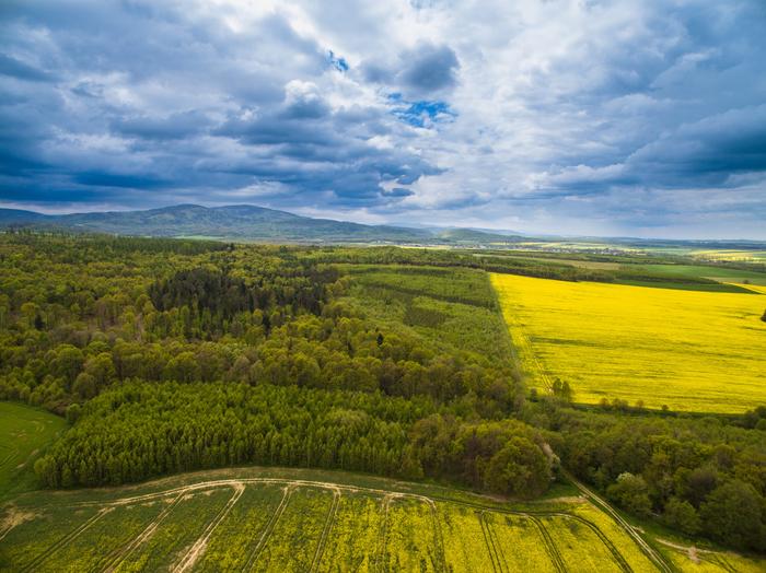 Góry Opatowskie