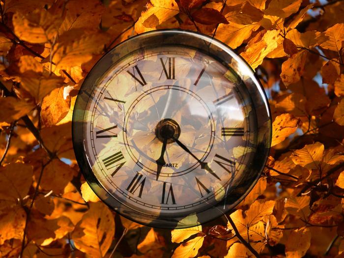 Zmiana czasu na zimowy 2021. Kiedy przestawiamy zegarki?