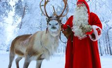  Laponia. Wioska Świętego Mikołaja w Rovaniemi