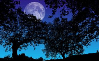 Pełnia Księżyca w czerwcu jest nazywana pełnią Truskawkowego Księżyca/ zdjęcie poglądowe